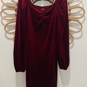 Amazon Velvet Mini Dress in Deep Burgundy